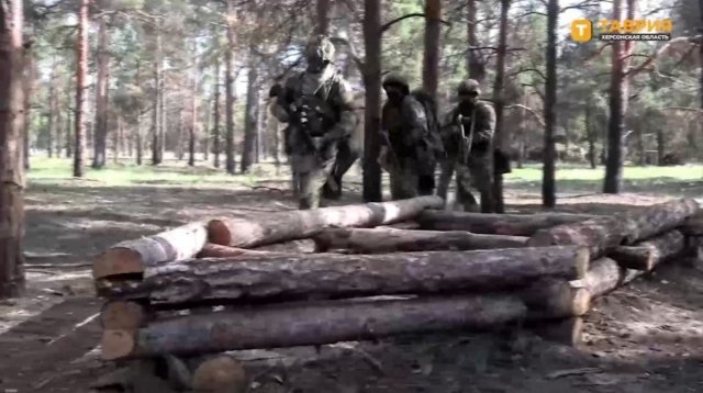 Через окупантів рукотворні Олешківські ліси під загрозою зникнення